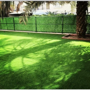 مصمم حديقه الكويت